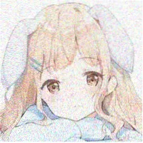 用户木由的头像