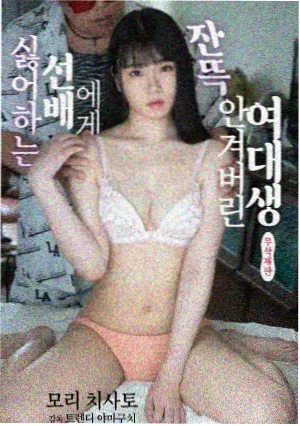 旧城手记剧集封面图